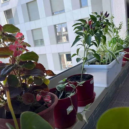  Stylish Nest At 15 Min To Center With Balcony And Ac *